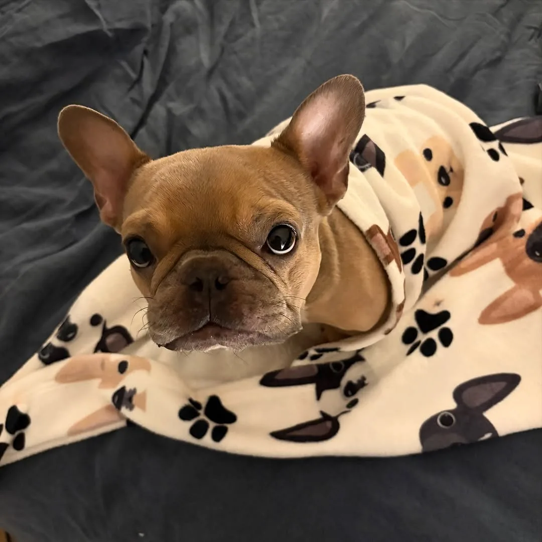 its almost CHRISTMAS!!!!!